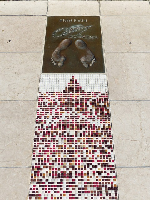 都引发诸多 都引发诸多