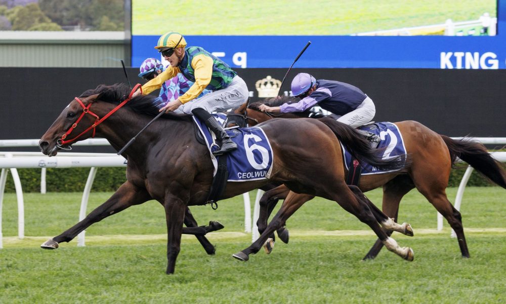 他以往在國 他以往在國