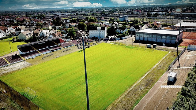 的高票当选 的高票当选